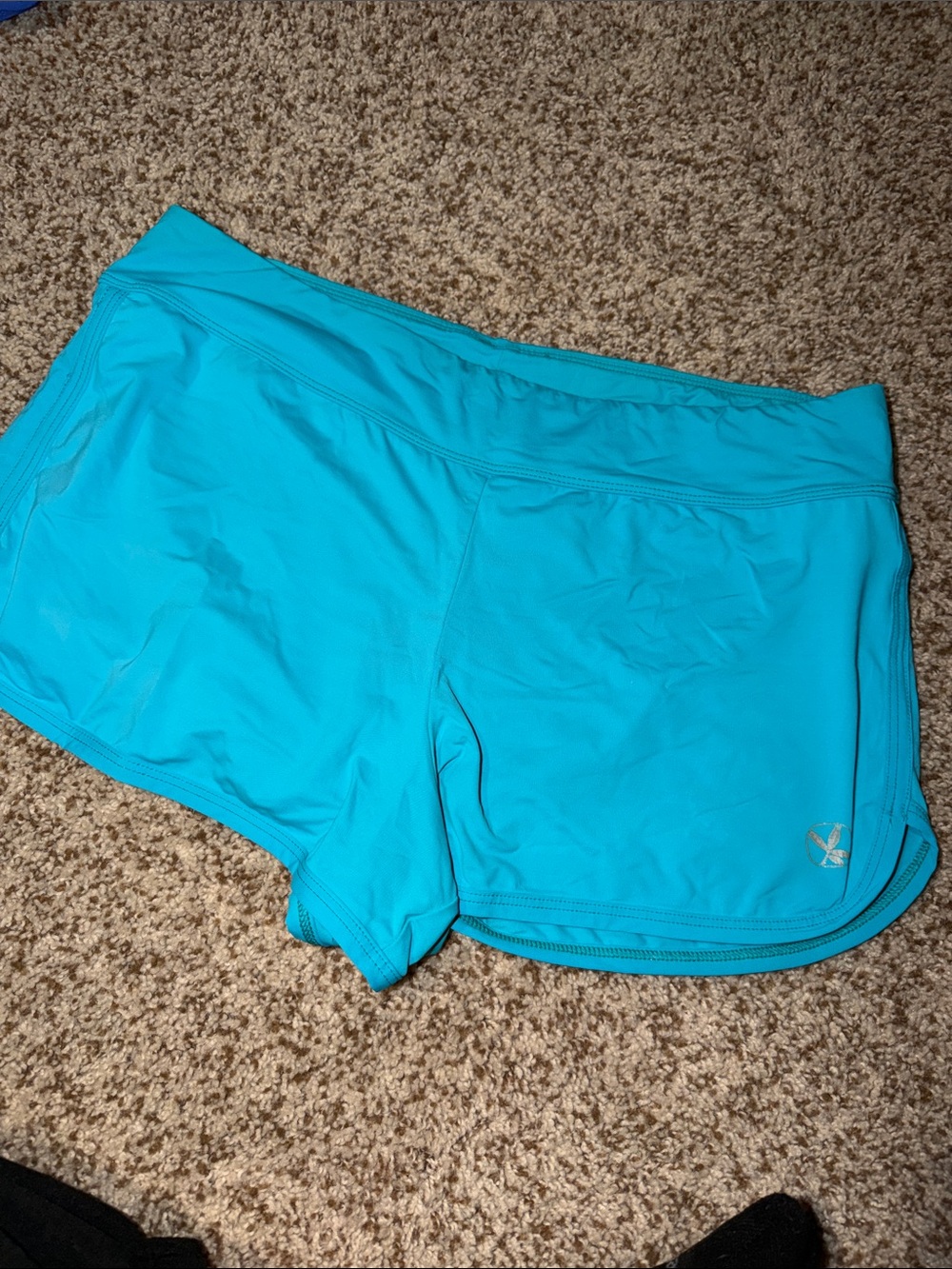 Carve Designs Women's Swim Shorts